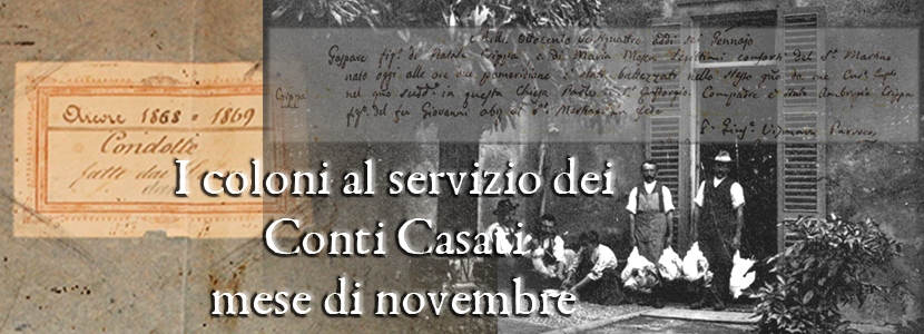 I COLONI AL SERVIZIO DEI CONTI CASATI: NOVEMBRE