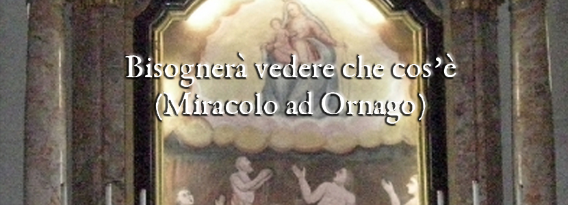 Bisognerà vedere che cos’è (Miracoli a Ornago)