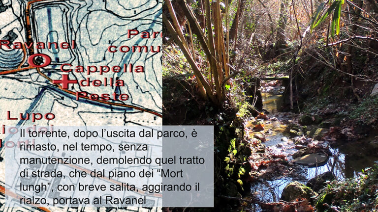 sequenza 14