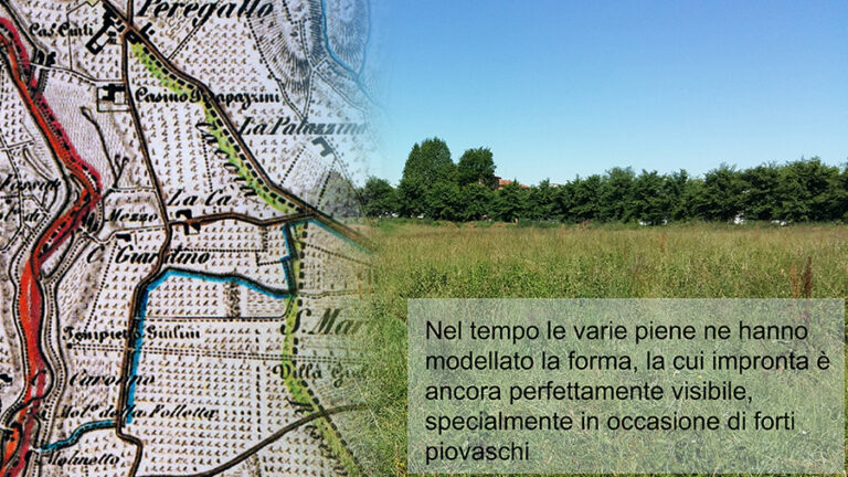 sequenza 20