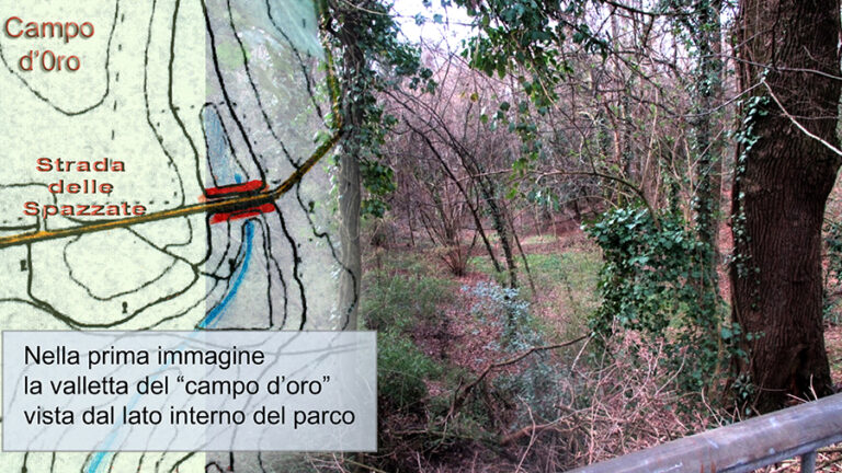 sequenza 5