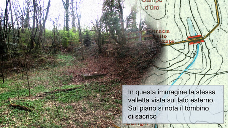 sequenza 6
