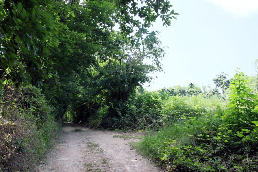 fine salita campo dx