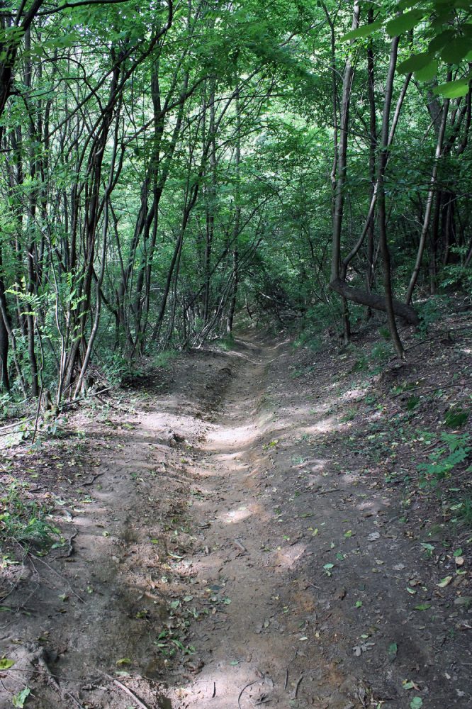 sentiero discesa canale