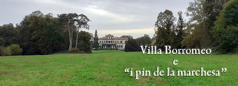Villa Borromeo e “i pin de la marchesa”
